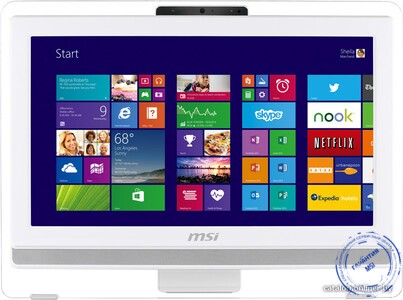 моноблок MSI AE201-080RU